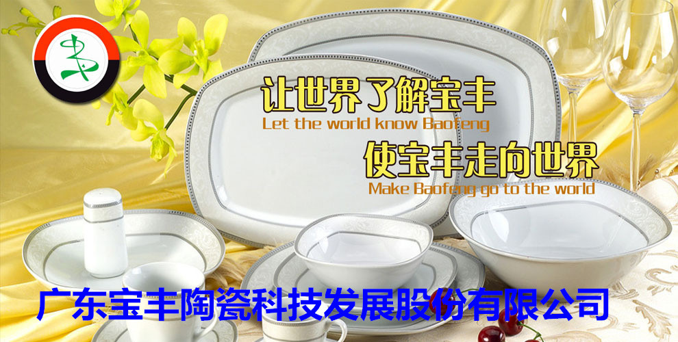 廣東寶豐陶瓷科技發(fā)展股份有限公司成立于2003年，占地總面積5萬(wàn)平方米，建筑面積3萬(wàn)平方米，2004年10月建成投產(chǎn)。現(xiàn)擁有兩條先進(jìn)遂道窯生產(chǎn)線(xiàn),主要生產(chǎn)中高檔日用陶瓷，產(chǎn)品遠(yuǎn)銷(xiāo)歐美，東南亞等國(guó)家。